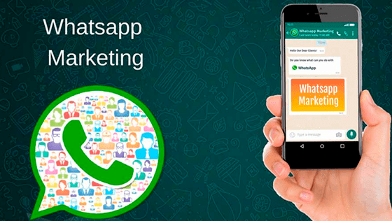 4 Ultimate strategy - A Successful WhatsApp Marketing for your Business